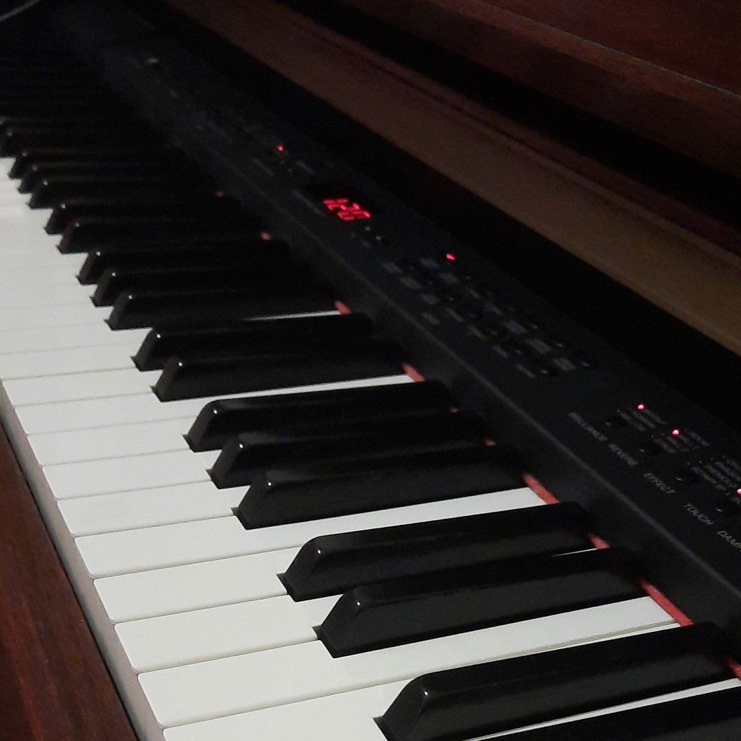 ELYA___S's tweet photo. GN #NFTFam 
I hope everyone had a good day today. I'm spending the rest of the evening learning to play the piano (again🤣).
#NFT #NFTCommunity #piano #goodnight #LearningNeverEnds https://t.co/mIp5wH58m5