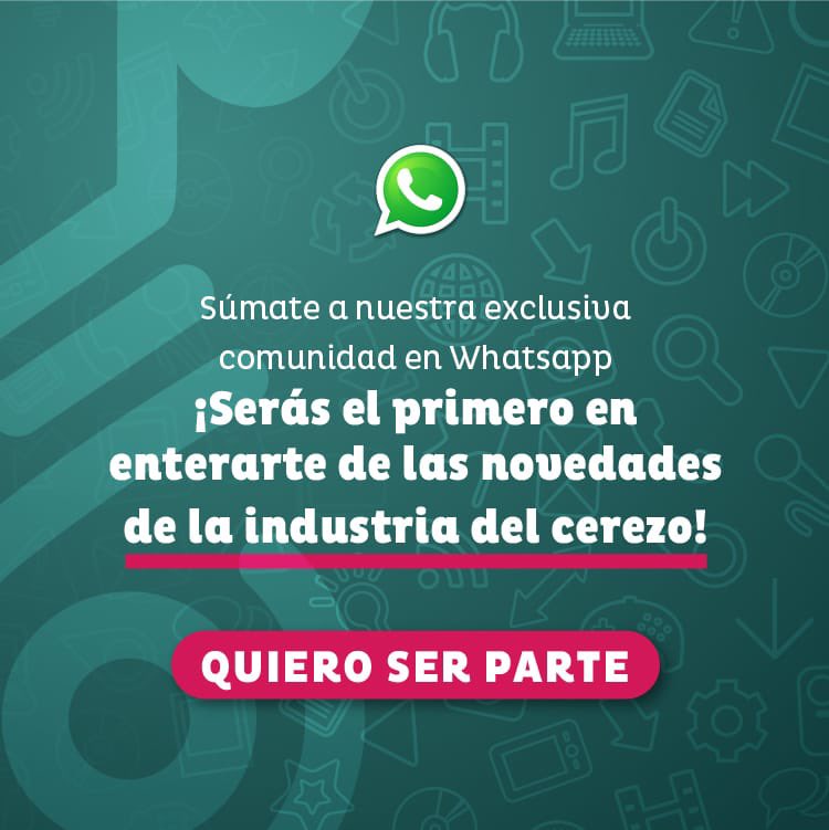 SmartCherry tweet media