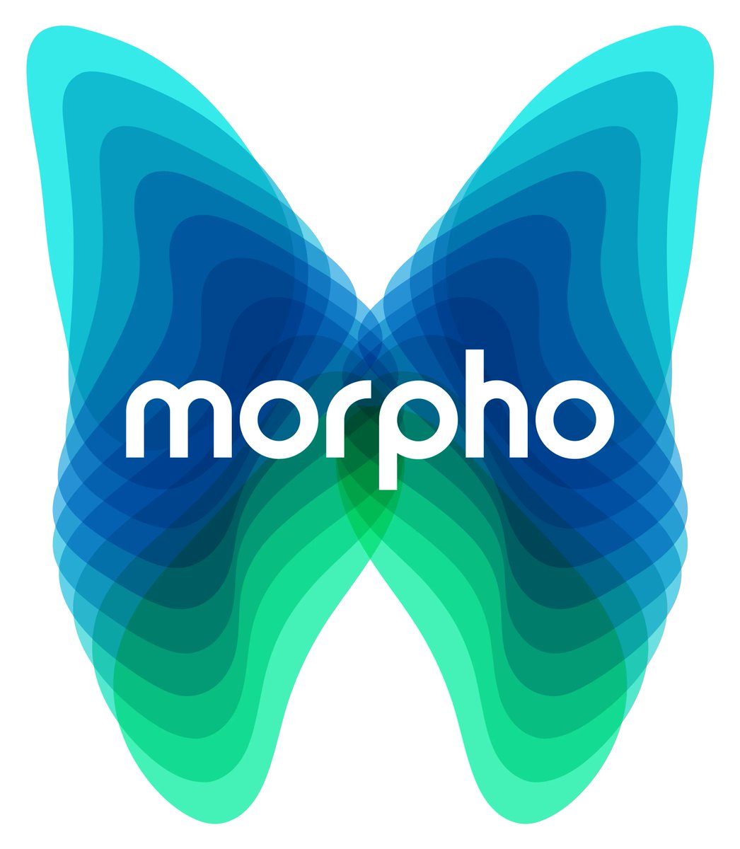 Announcing the 2023 Morpho Call for Proposals 🦋 Have an idea for applied environmental data science? This funding is for you! This year we also have funding for a (bonus!) group and postdoc on wildfire resilience. Learn more online and apply by April 5: buff.ly/3qRl1jF