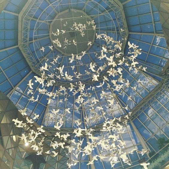 ASTEOROIT's tweet photo. — (⊃｡•́‿•̀｡)⊃✨💙💐 https://t.co/95gc8RjGE8