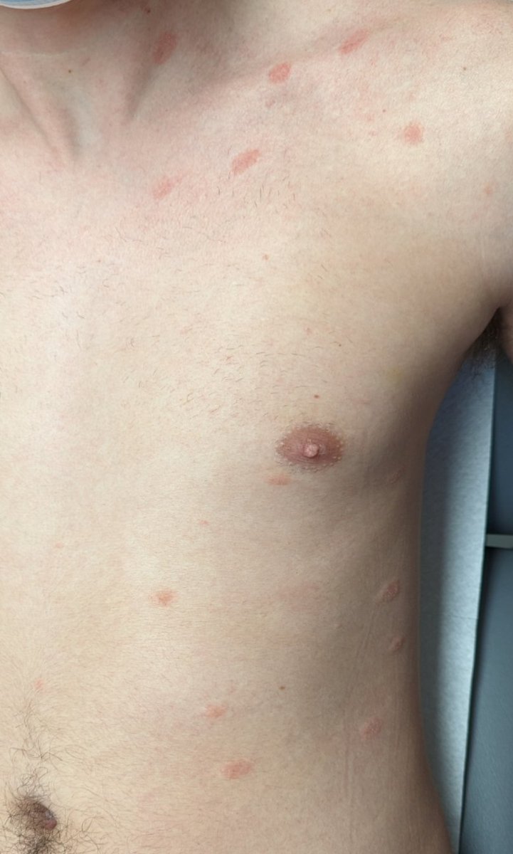 Dr Jean-Jacques Fraslin tweet media