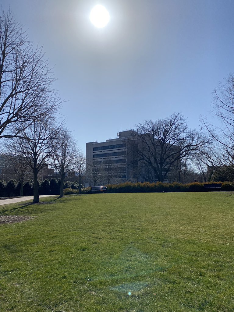 cspallone77's tweet photo. Such a beautiful spring-like day across PA! @building_walker sure seems to be enjoying the warmth. #PAwx https://t.co/kQPPYtOHaC