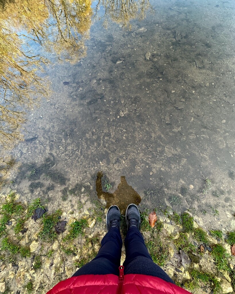 Splodz's tweet photo. #SplodzDPC Day 15 - Daily Occurrence
I do my very best to make a habit of getting outside daily. Not always for a walk, but quite often. Today's #OneHourOutside was spent running errands in the rain. Oh well!
Did you get outside today?
It’s not too l… https://t.co/ha2BwrKuTa https://t.co/YjJ8DKRfxq