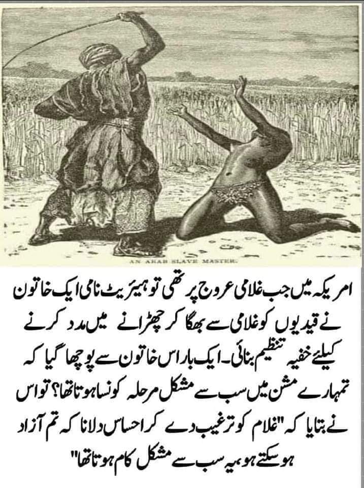ItsSyedaNaina's tweet photo. As long as the common Pakistani does not turn to the road, the exploitation of Pakistanis will continue and slavery will remain in the throat

#PakistanSituation #inflationinpakistan 
#Zaman_Park #PMshehbazsharif https://t.co/hSTHwbuTV8