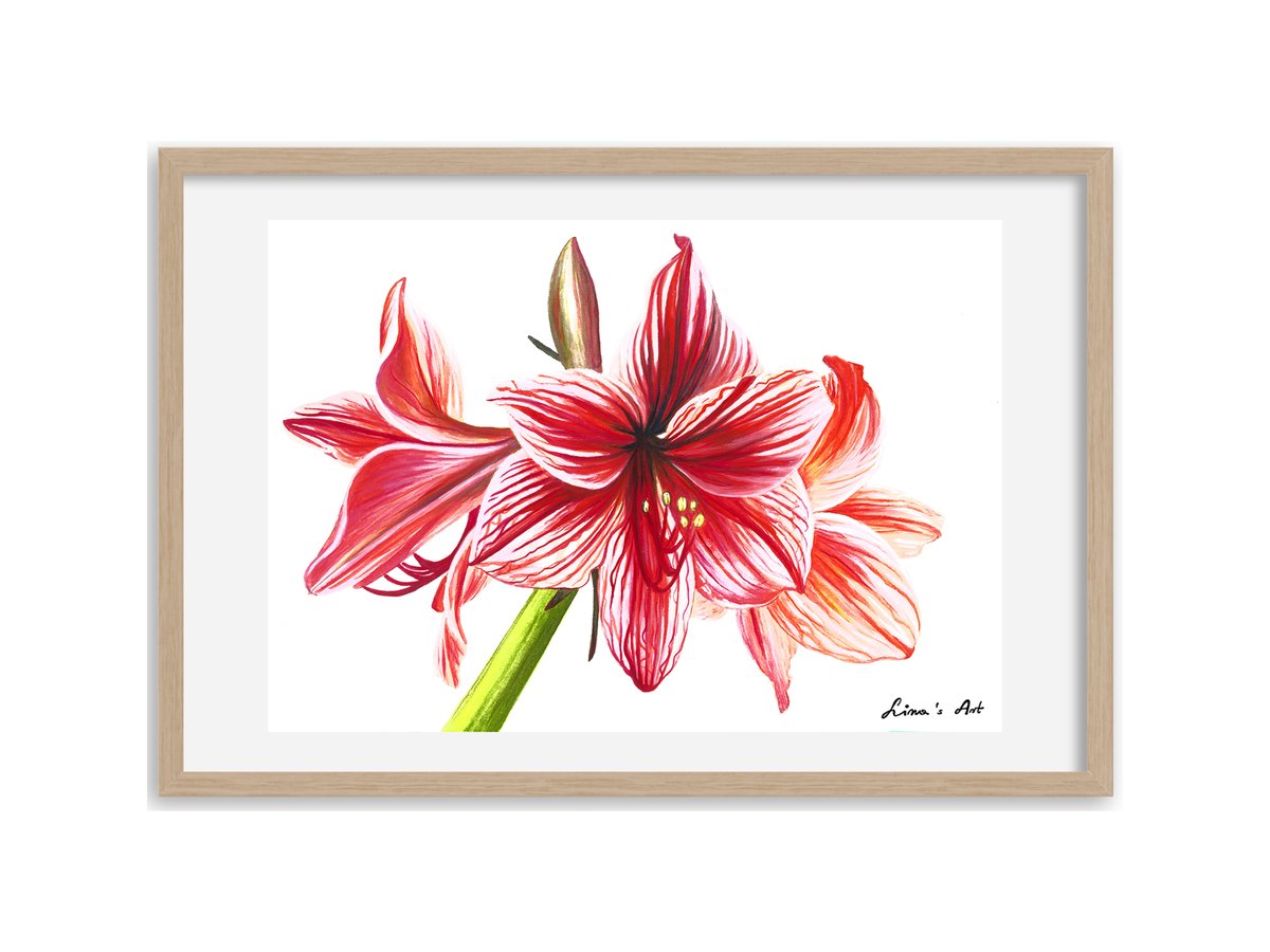 LinasArt_ca's tweet photo. The Amaryllis Crystal Garden - now available on our website! 

#watercolourart #originalpainting #canadianartist #botanicalart #muttart #amaryllis #enchantedgarden https://t.co/xk7QhMQrdq