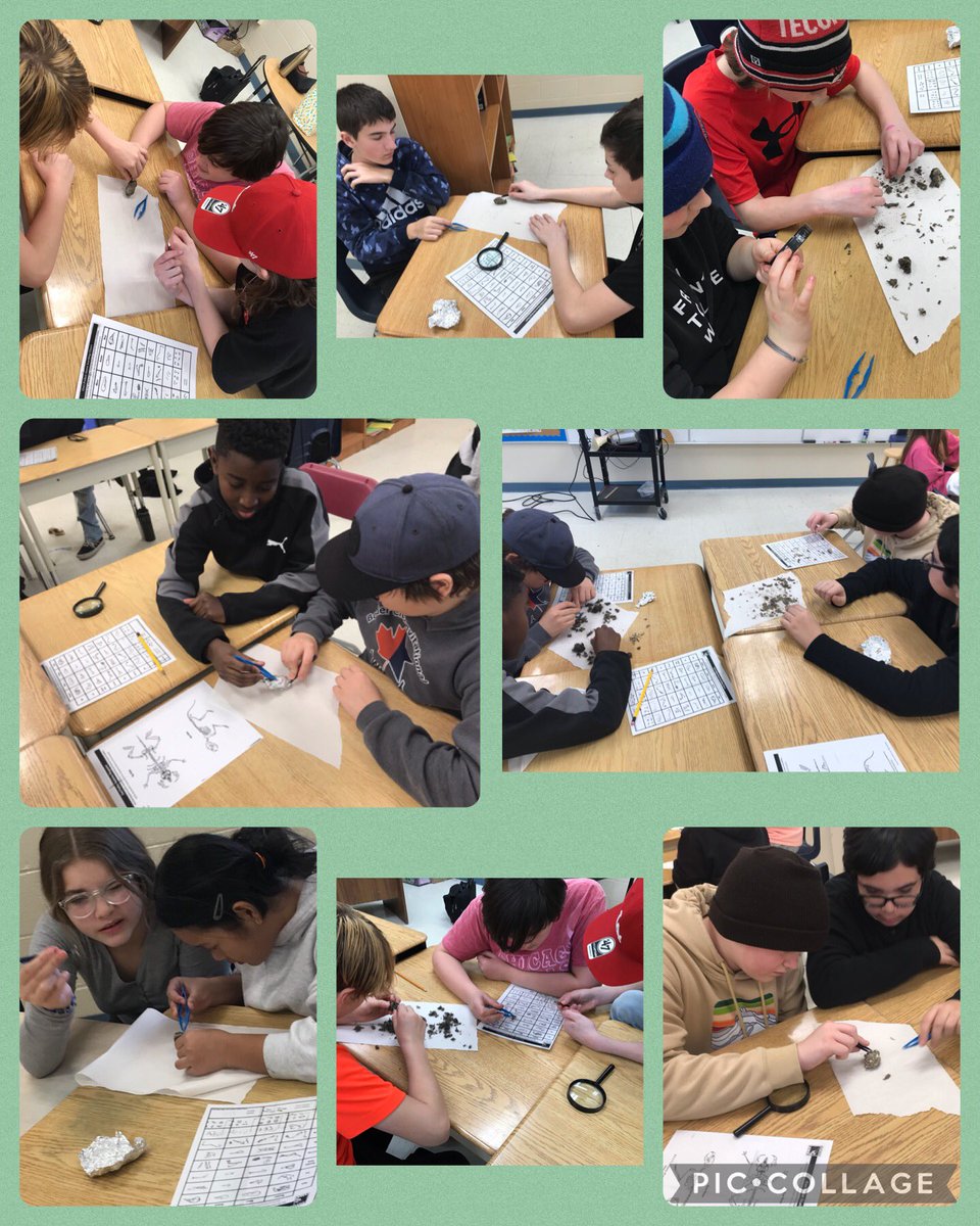 Yesterday, Mrs. Simueunovic, the <a href="/gecdsb/">GECDSB</a> Outdoor Educator/Environmental Stewardship Instructor came into our class room to teach us about owls that are native to Canada, and our area. The students had a great time dissecting and sorting owl puke pellets, to culminate the lesson.