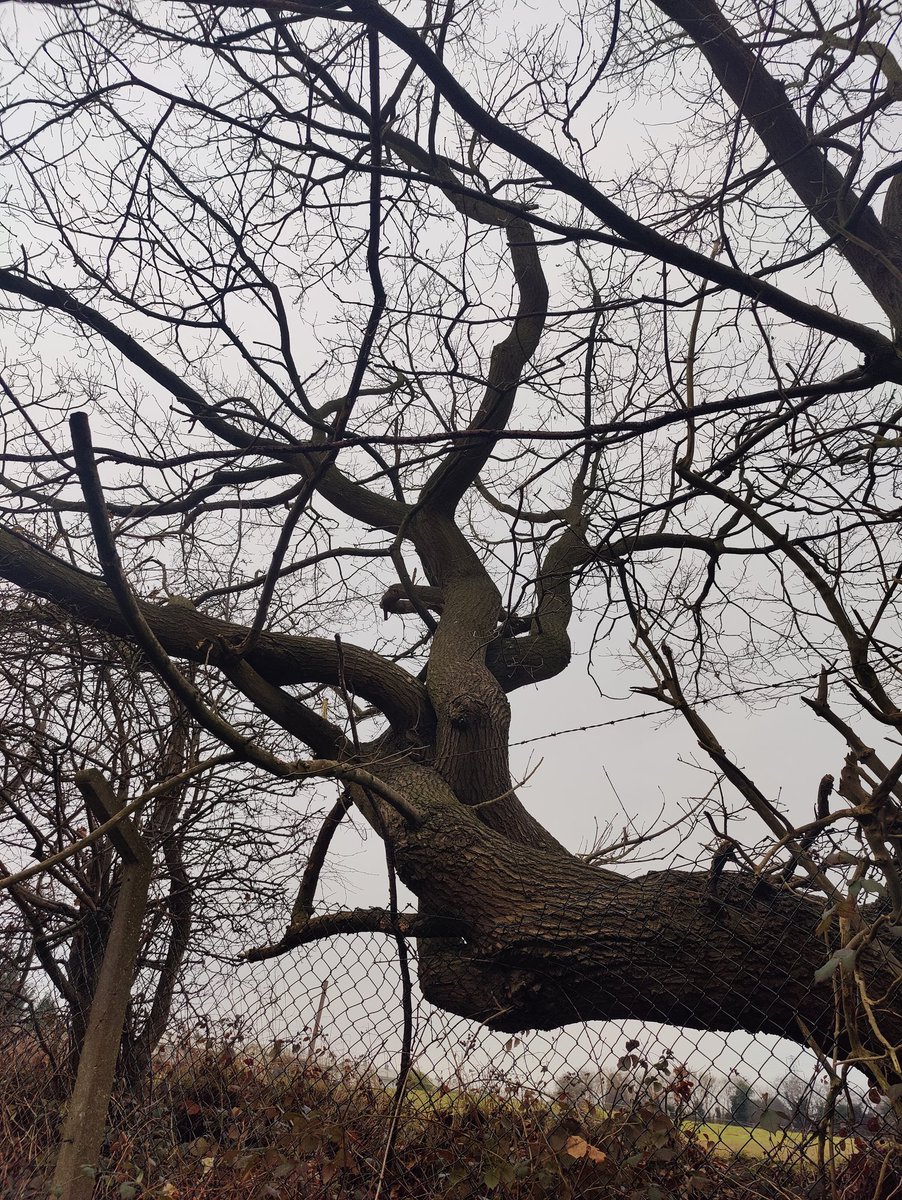 Olive W (@olivewhitearch) on Twitter photo VERTICAL23 launch for <a href="/WLVArchitecture/">WLVArchitecture</a> - A vertical studio project across all levels of <a href="/RIBA/">Royal Institute of British Architects</a> Architecture @CIATechnologist ADT courses creating a community scheme for <a href="/BoundaryWay/">Boundary Way Project</a> allotments Wolves #vertical23
Loved exploring all existing object|structures both manmade & natural VERTICAL23 launch for <a href="/WLVArchitecture/">WLVArchitecture</a> - A vertical studio project across all levels of <a href="/RIBA/">Royal Institute of British Architects</a> Architecture @CIATechnologist ADT courses creating a community scheme for <a href="/BoundaryWay/">Boundary Way Project</a> allotments Wolves #vertical23
Loved exploring all existing object|structures both manmade & natural