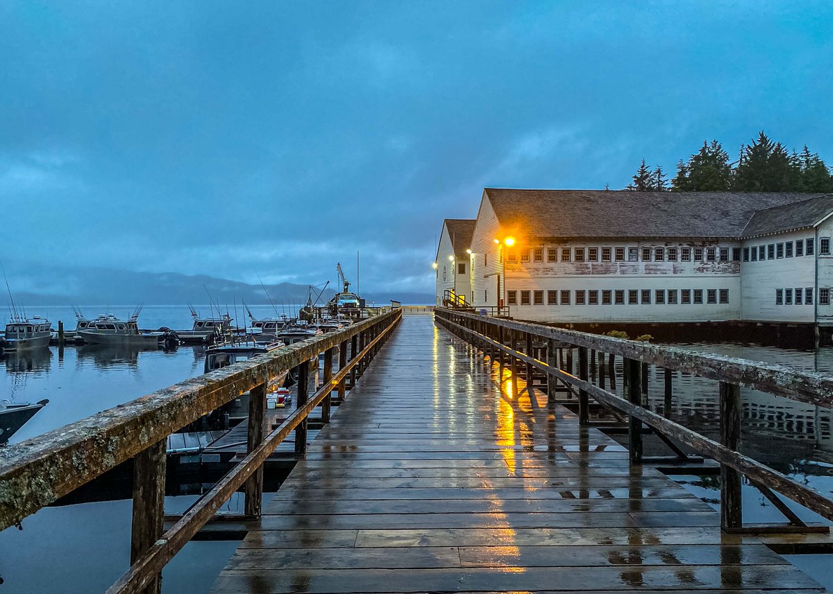 FishingResort's tweet photo. Dallas CEO Magazine: Ben Swanger's trip #fishinginAlaska - 100 lb halibut, walk with a bear + more! Enjoy the read, then call for your #summer2023 adventure: 800-544-5125  
https://t.co/rpC3O0wtAr
@Rbi_Ben @edringtoncomms #DCEO #Edrington #alaskafishingtrip #bucketlist https://t.co/RmFBXdRFc8