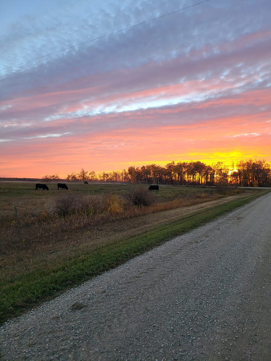 Happy #CdnAgDay! What an amazing life.