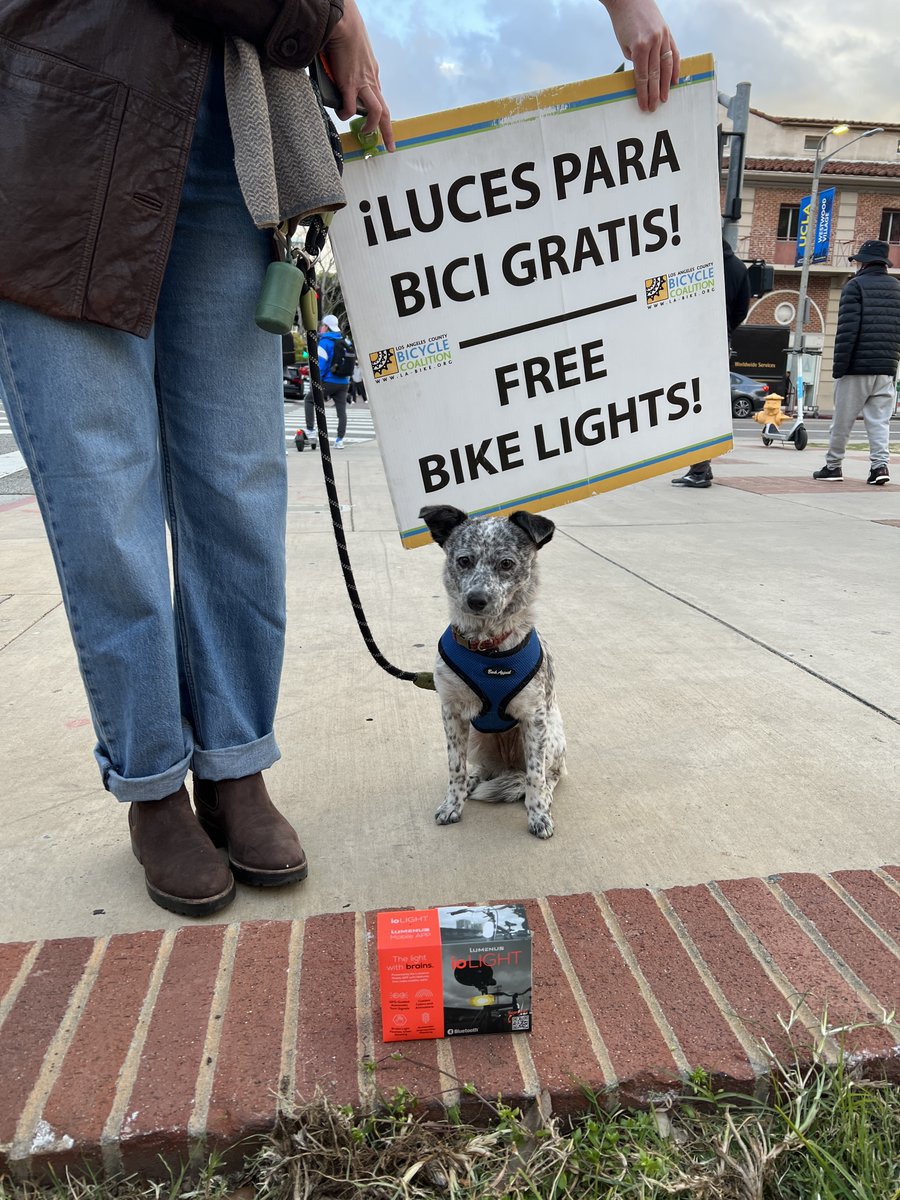 BikeCoalition UCLA tweet media