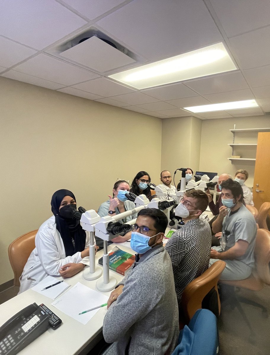 DepartmentWayne's tweet photo. Views from today’s multi-headed scope session. Hosted by Dr.William Kupsky (Neuropathology) #Neuropathology #Pathology #Pathmatch2023 #Pathtwitter https://t.co/v2JGkrc8kI