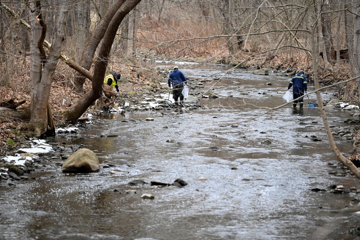ajplus's tweet photo. Ohio officials say toxic chemicals leaked into the Ohio River after the East Palestine train derailment are diluted and not a threat.

5 million people use the river for water.

East Palestine residents reported eye/throat irritation. Officials say this may occur at safe levels. https://t.co/sUl7lBzBcs