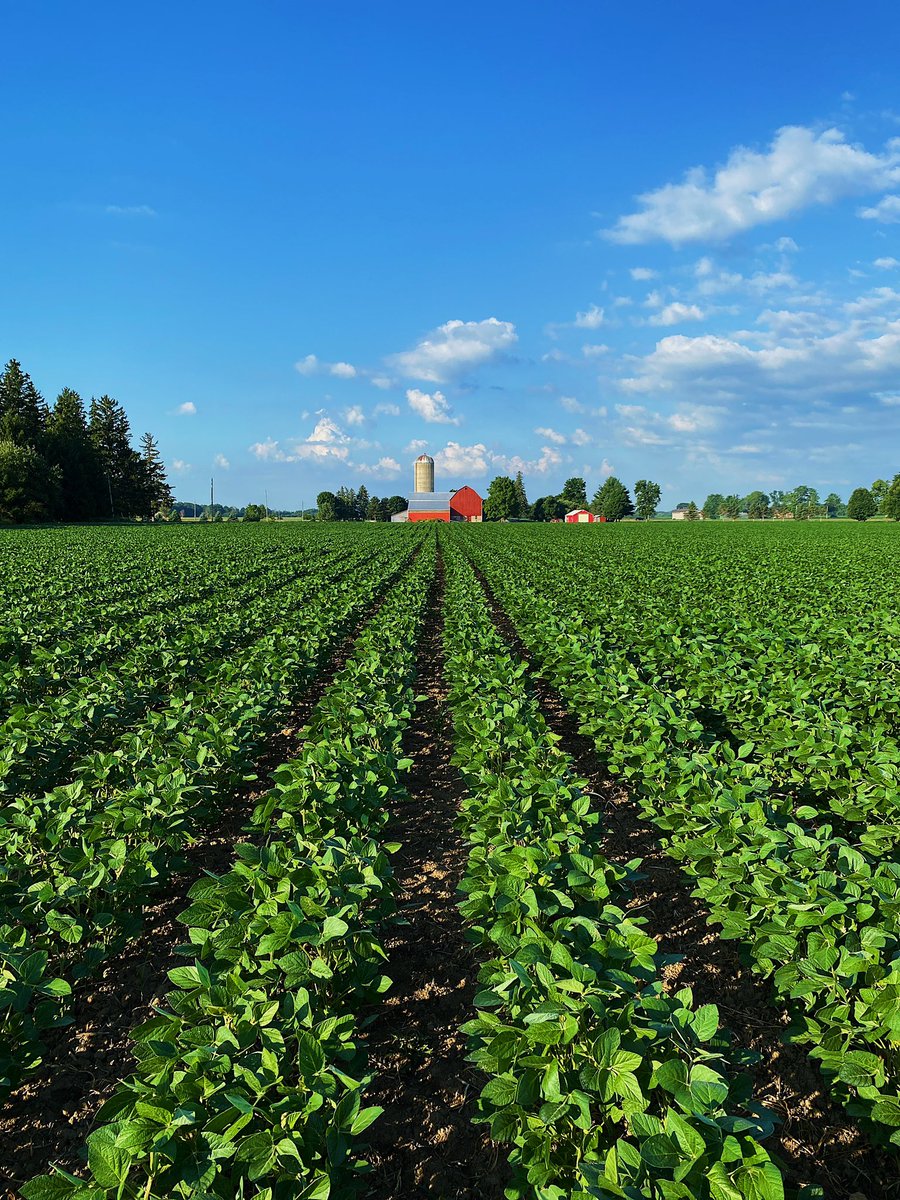 meghan_glavin's tweet photo. Happy #CdnAgDay! I’m beyond thankful to be part of such a wonderful industry and community! https://t.co/ysF50mRjNG