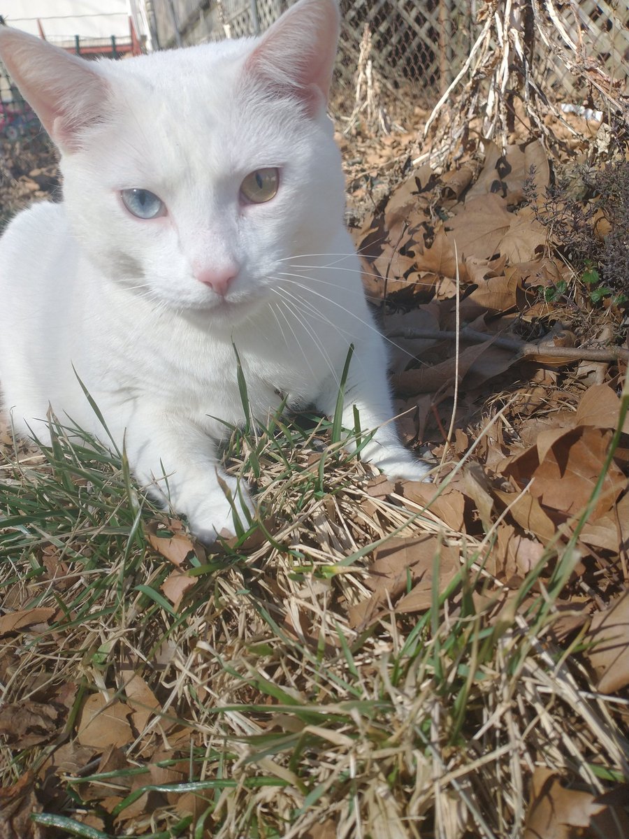 queef queen on Twitter "the weather's beautiful today so i took poop