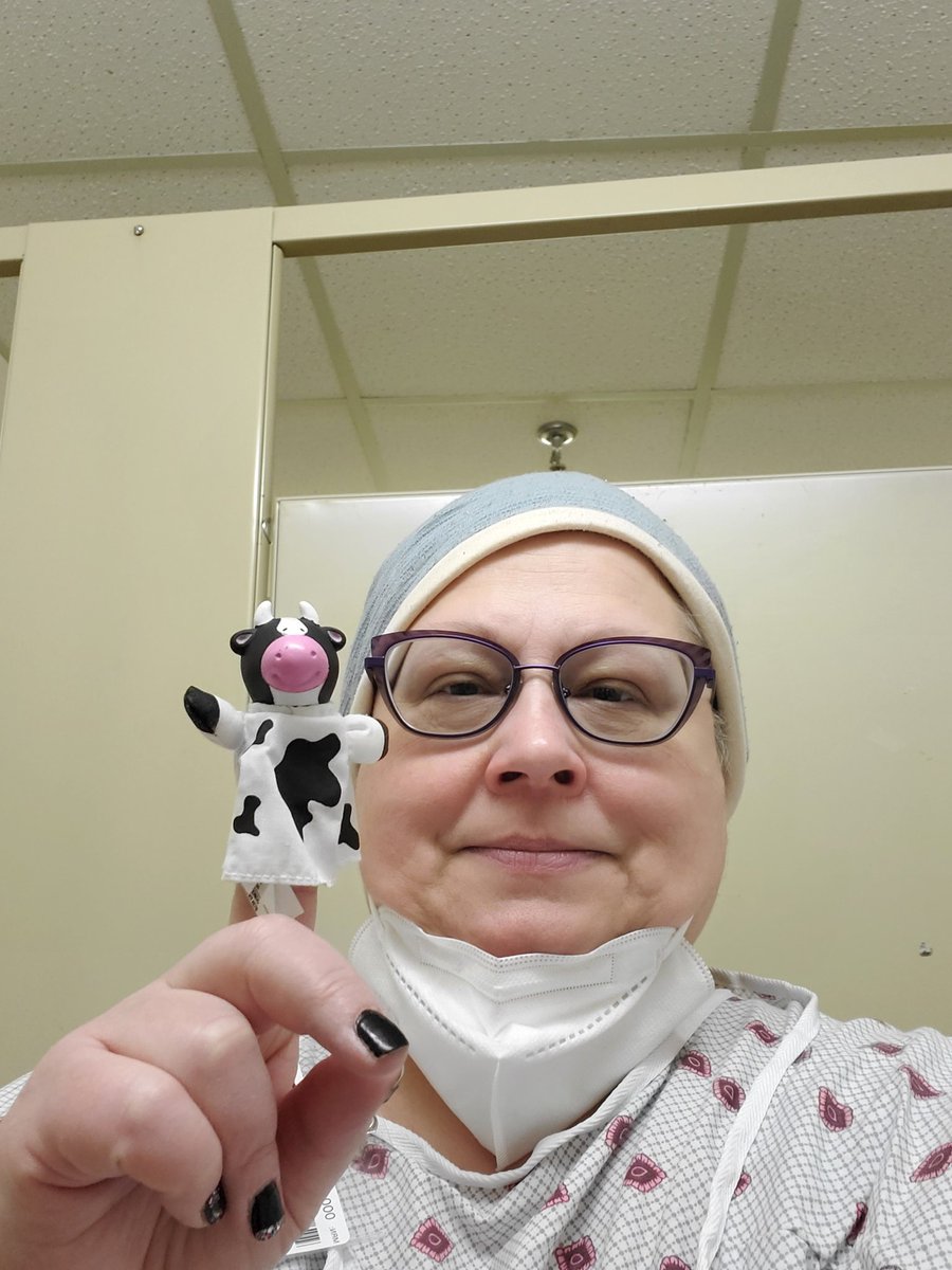 Chemoo the Chemootherapy Cow tweet media