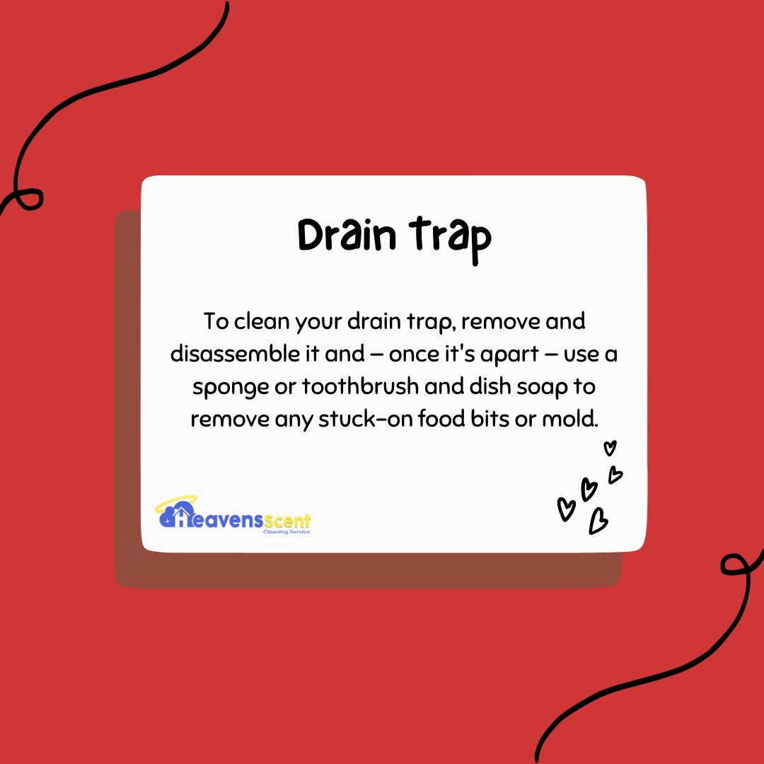 Cleaning Tip:

#heavensscent #heavensscentcs drainpipe #plumbing #drainage #draincleaning #plumber #draincover #drains #draincleaner #drain #sewer #blockage #drainlife