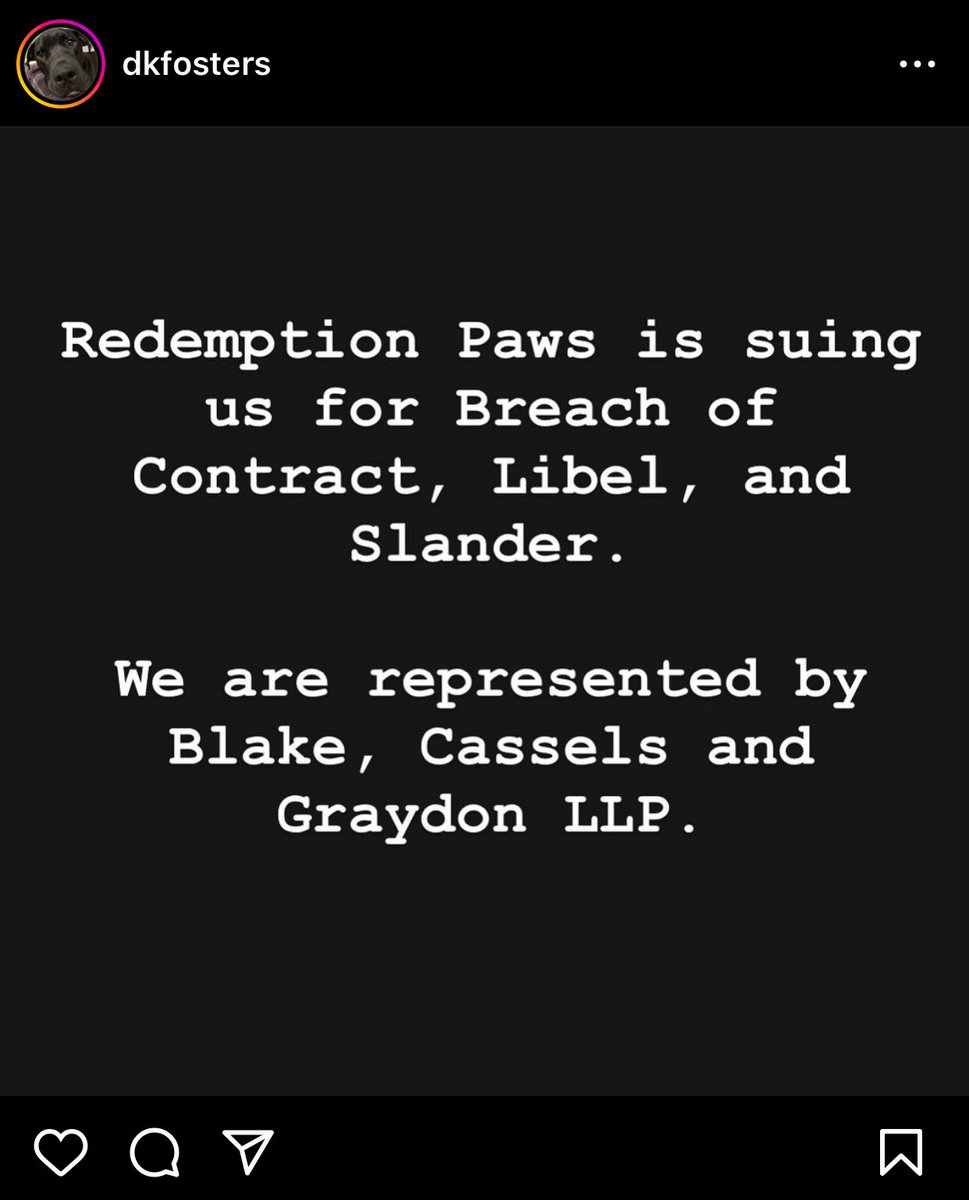 RedemptionFlaws's tweet photo. Surprised 👀?
#RedemptionPaws #Toronto #RescueDogs https://t.co/9hj1gLlTCn