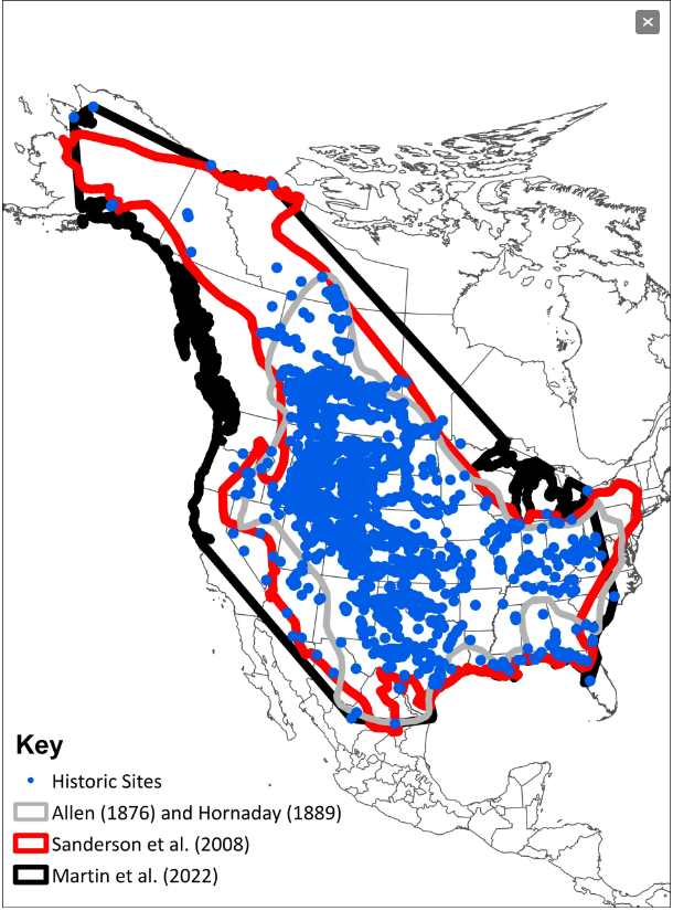 All About Bison tweet media