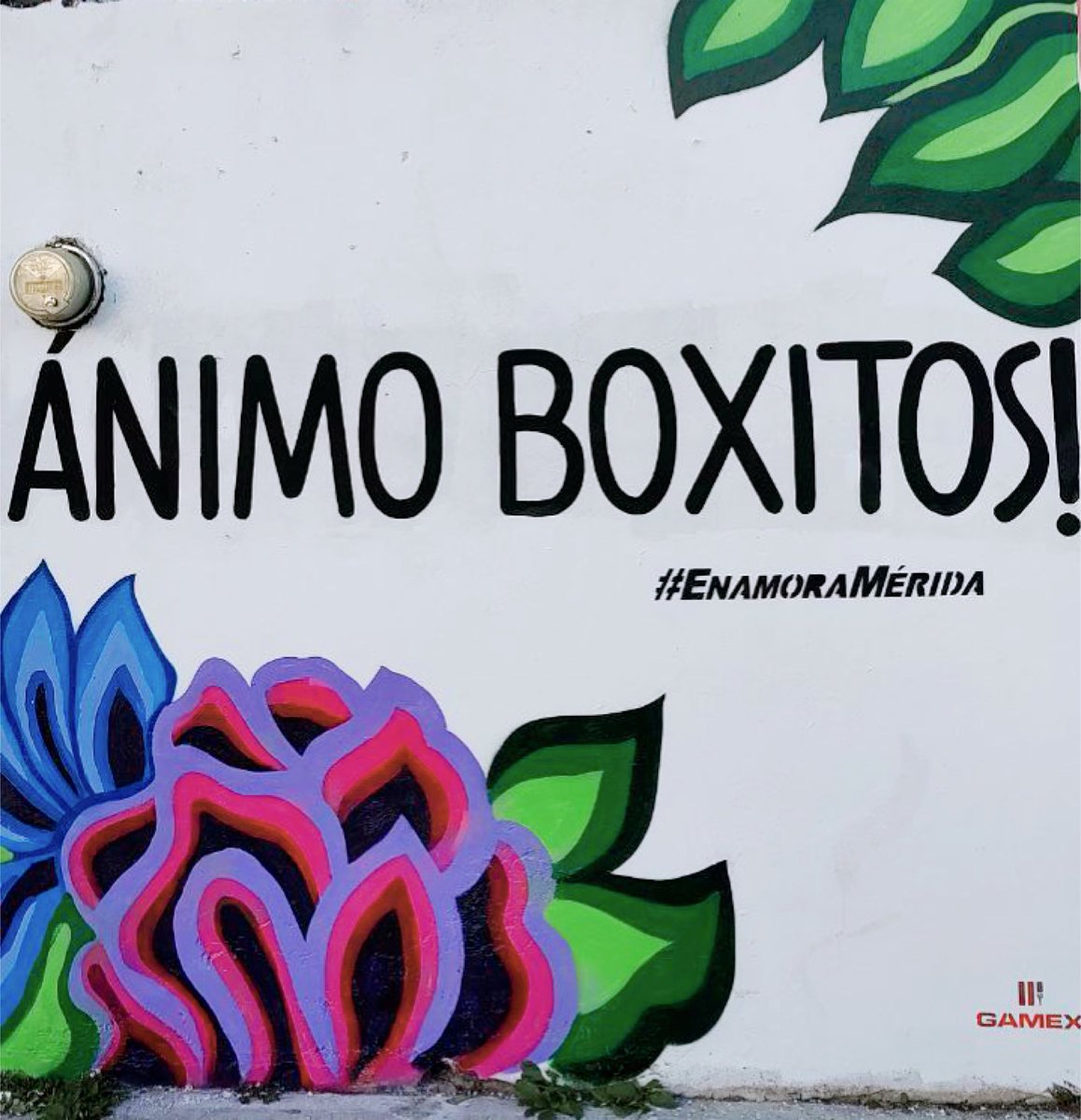 Enamora_Merida's tweet photo. ¡Ánimo Boxitos! #EnamoraMérida 

Calle 81A x 8 poniente, Unidad Morelos. https://t.co/mDqZ4U3pP1