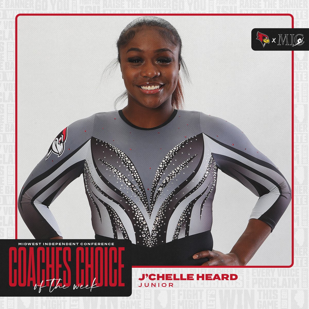 Illinois State Gymnastics on Twitter: 