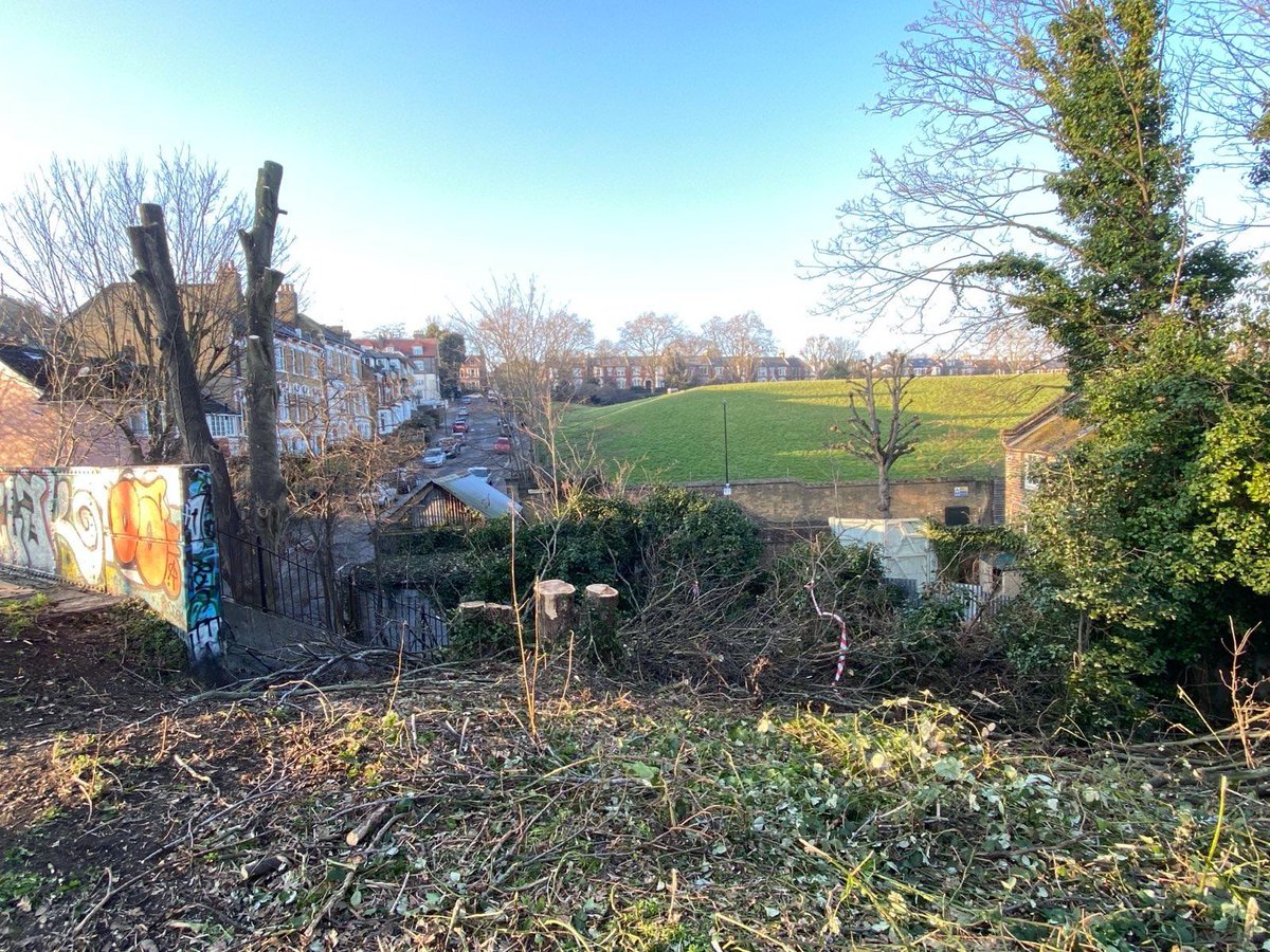 Haringey Tree Protectors tweet media