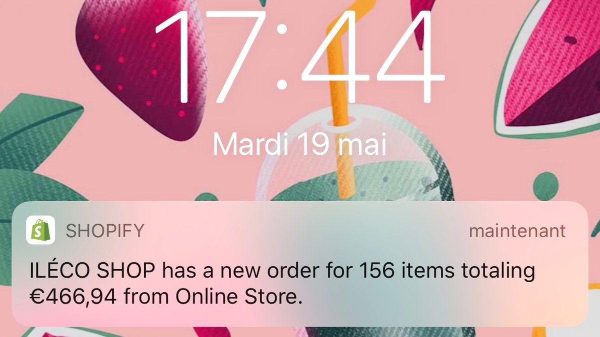🎉 Nous sommes fiers d'annoncer que notre boutique en ligne ileco.shop a été rachetée 💻 💶

🛒 Après 2 ans d'opération (né durant la pandémie du Covid-19, l’objectif était de “livrer des courses alimentaires sur toute la Martinique”), des centaines de milliers