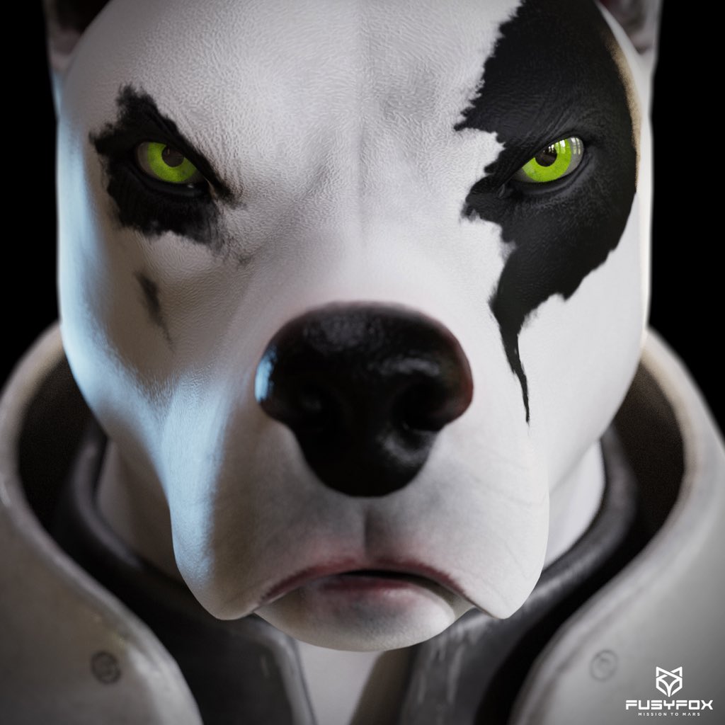 fusyfox's tweet photo. Yeah, ok, whatever… 

But he’d be better if he was #VOLTED ⚡️ as @fusyfox is 🦊

You need a CEO with firm backbone as @VoltInuOfficial, mate 🤙🏼

#VOLTINU #VOLTARMY https://t.co/g35vEsDC3w