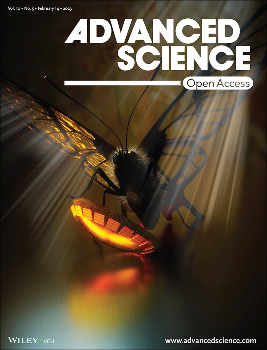 Ella_Maru's tweet photo. New cover image that we made for Samsung (@samsung) and California Institute of Technology(@caltech) 

"Glasswing-Butterfly-Inspired Multifunctional Scleral Lens and Smartphone Raman Spectrometer for Point-of-Care Tear Biomarker Analysis"

Article: https://t.co/Egfxs8Pw9d

#sciart