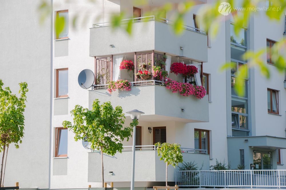 ثقافة البلكونات اتمنى ترجع لنا 👌✨

فالبلكونة ليست مجرد مساحة في الفراغ، وإنما هي تمثل الحياة الخارجية لأفراد المنزل بعيدا عن الحوائط الأربعة الداخلية
#تصميم_داخلي 
#البزنس71 
#عيد_الحب