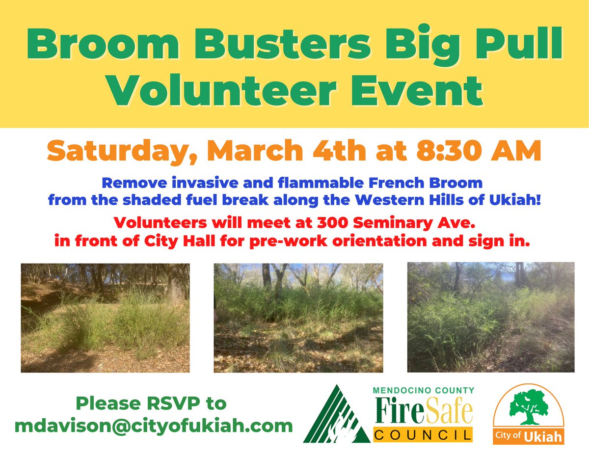CityofUkiah's tweet photo. The City of Ukiah , in collaboration with Mendocino County Fire Safe Council and the Western Hills Fire Safe Council, is seeking volunteers to help remove invasive French Broom. For more information or to sign up, email mdavison@cityofukiah.com or call (707) 467-5723. https://t.co/gBbXzpGu7j