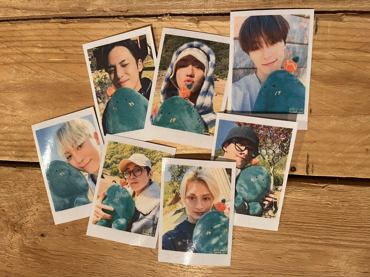 🫧 petit aperçu des Polaroïds 🫧

qu’est-ce que vous en dîtes ? 💌