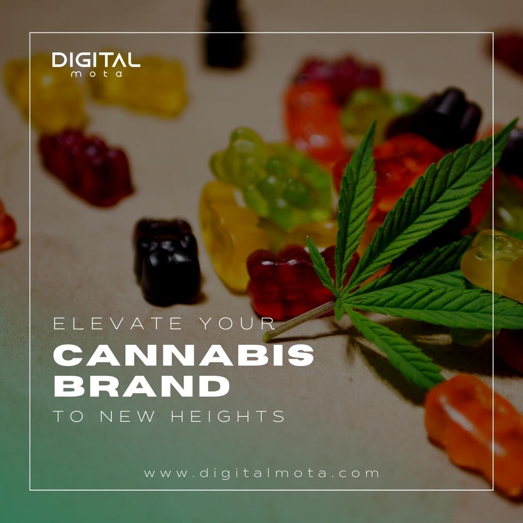 digital_mota's tweet photo. Our cannabis industry branding experts are ready to help you take your brand to the next level🎯

Contact us today
☎️(888) 559-5910
🌐https://t.co/psKgZlyiZq

#cannabismarketing #cannabiscommunity #cannabis #cannabisculture #marketing #cannabisbusiness #cannabisbranding https://t.co/kFfQOYL9Zj