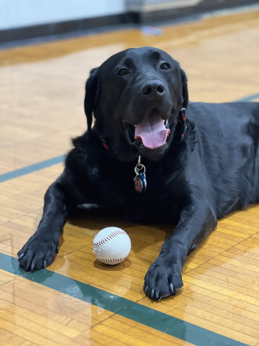 Mister_Diggle's tweet image. I heard pitchers and catchers reported yesterday! I’m ready for some @CincinnatiReds baseball ⚾️! #diggledog #whosonfirst #cinciredlegs #readyforwarmweather