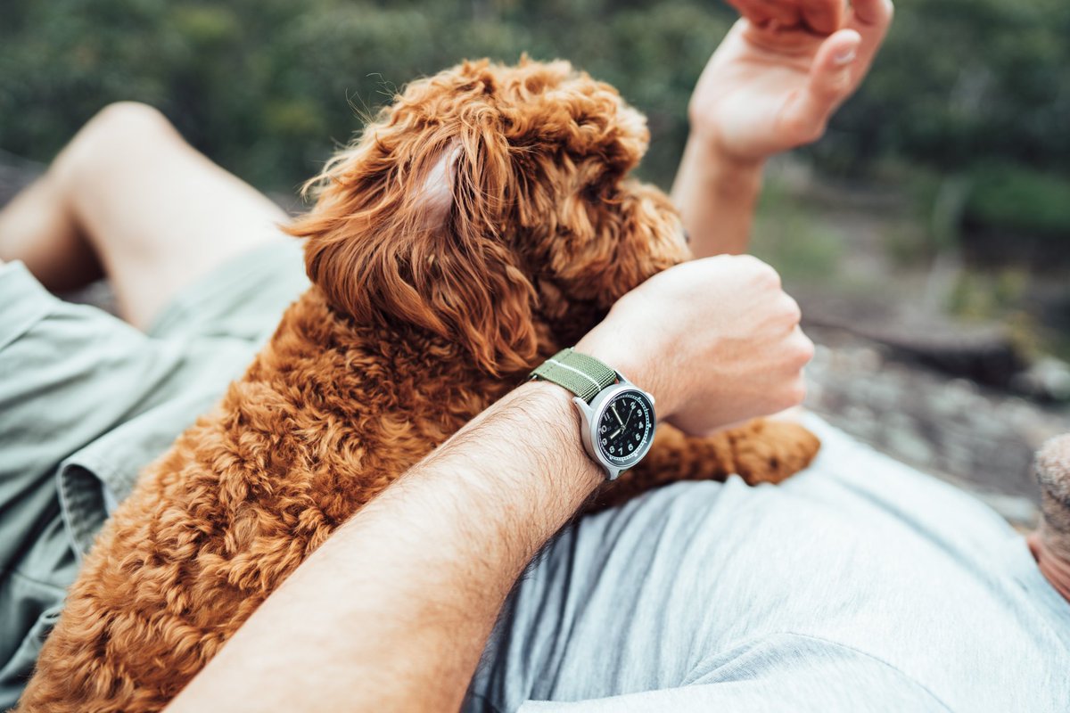 Our watches will not help you become George Clooney or win a Grand Slam, but they can remind you everyday to breathe, focus, invest in yourself and become a better version of who you are.

#australia #australianbrand #dogsoftwitter #usarmy #fieldwatch #toolwatch #veterandesign