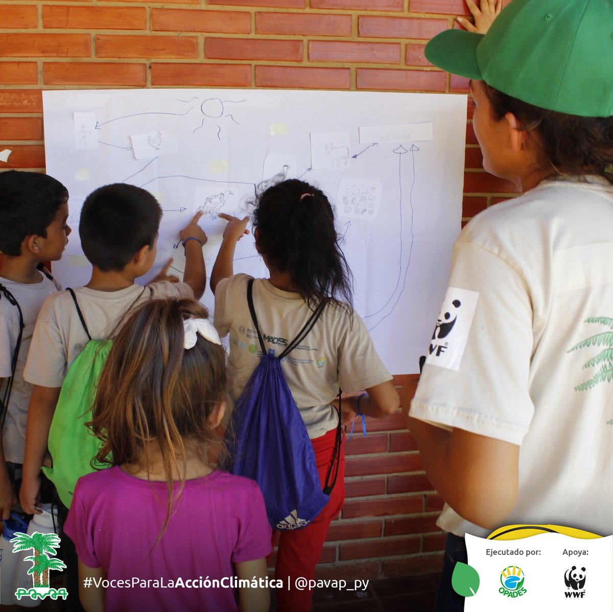 pavap_py's tweet photo. Con mucho éxito y felicidad finalizamos la 4ta y ultima salida del PAVAP, agradecemos el compromiso de los voluntarios/as y guardaparques, para el logro de las siguientes actividades: https://t.co/oD5yKm7HN5