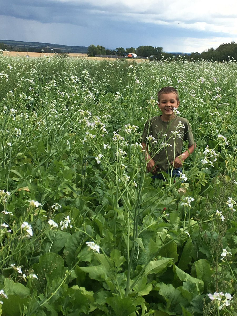 Happy #CdnAgDay! Our family is so happy to be part of this wonderful community and we love improving our land and #bison to better serve others.