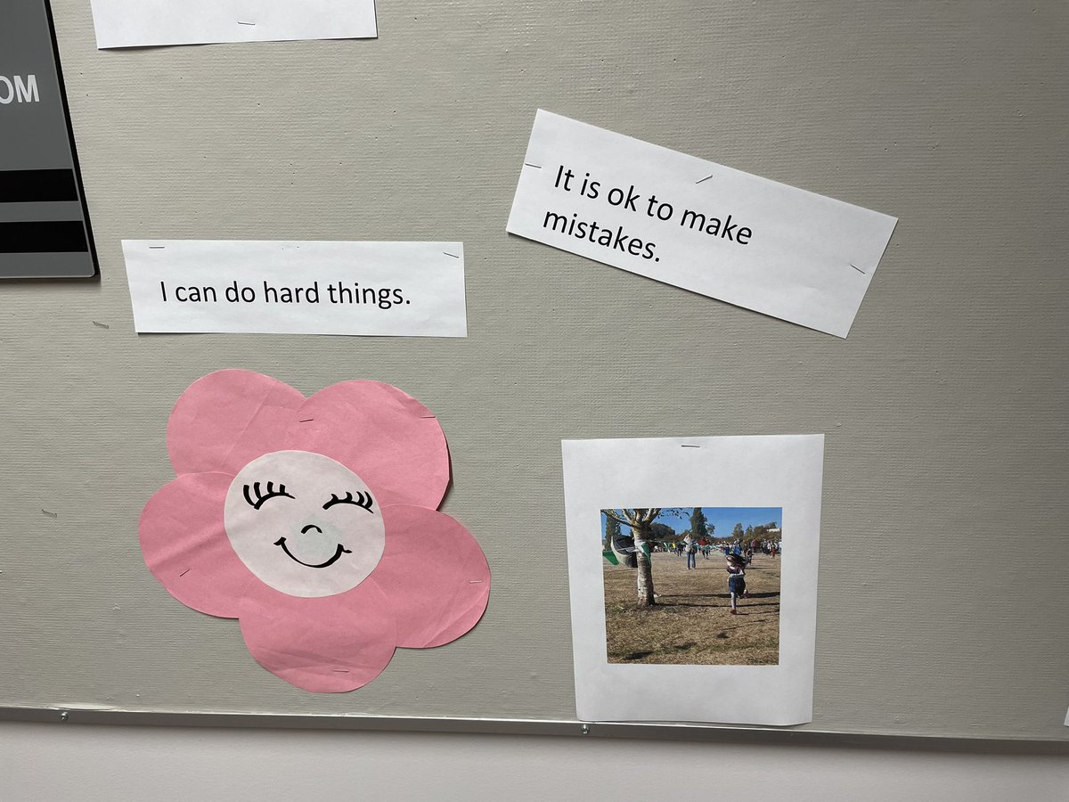 LisaSchwartz05's tweet image. Our school story focus on resilience is visible for students and our community. #sd38learn