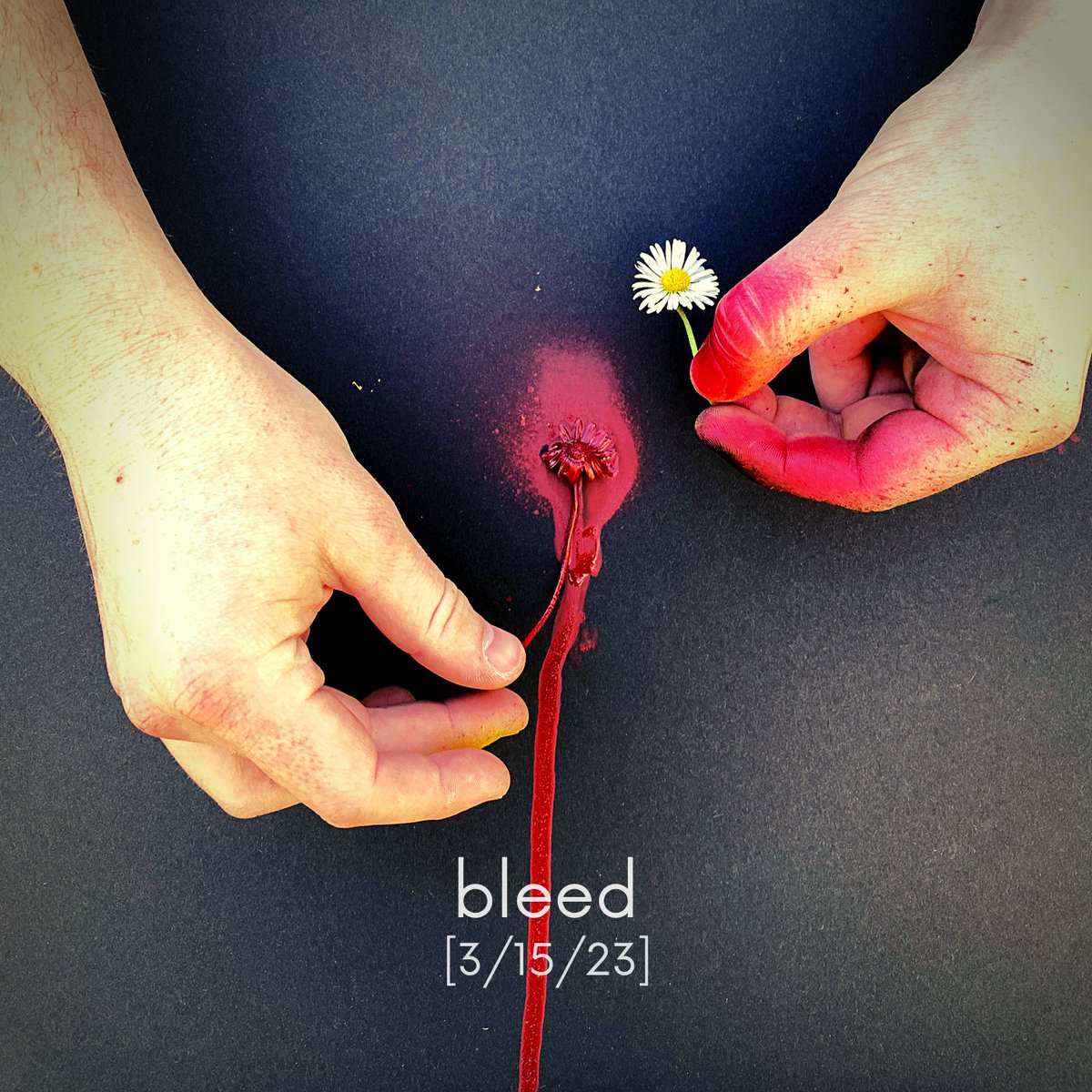 It’s been a while. But the while is over. New Daisies coming in March. 🌼🌼🌼