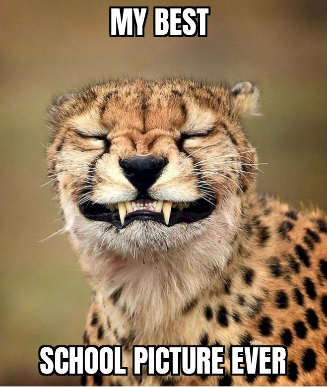 IdunnoMemes's tweet photo. My best school picture ever.
#funny #humor #lol #lmao #haha #photooftheday #picoftheday #cheetah #school #schoolpicture #picture #animal #animalhumor
https://t.co/MFfNssxqVq https://t.co/5PqCywK8iT