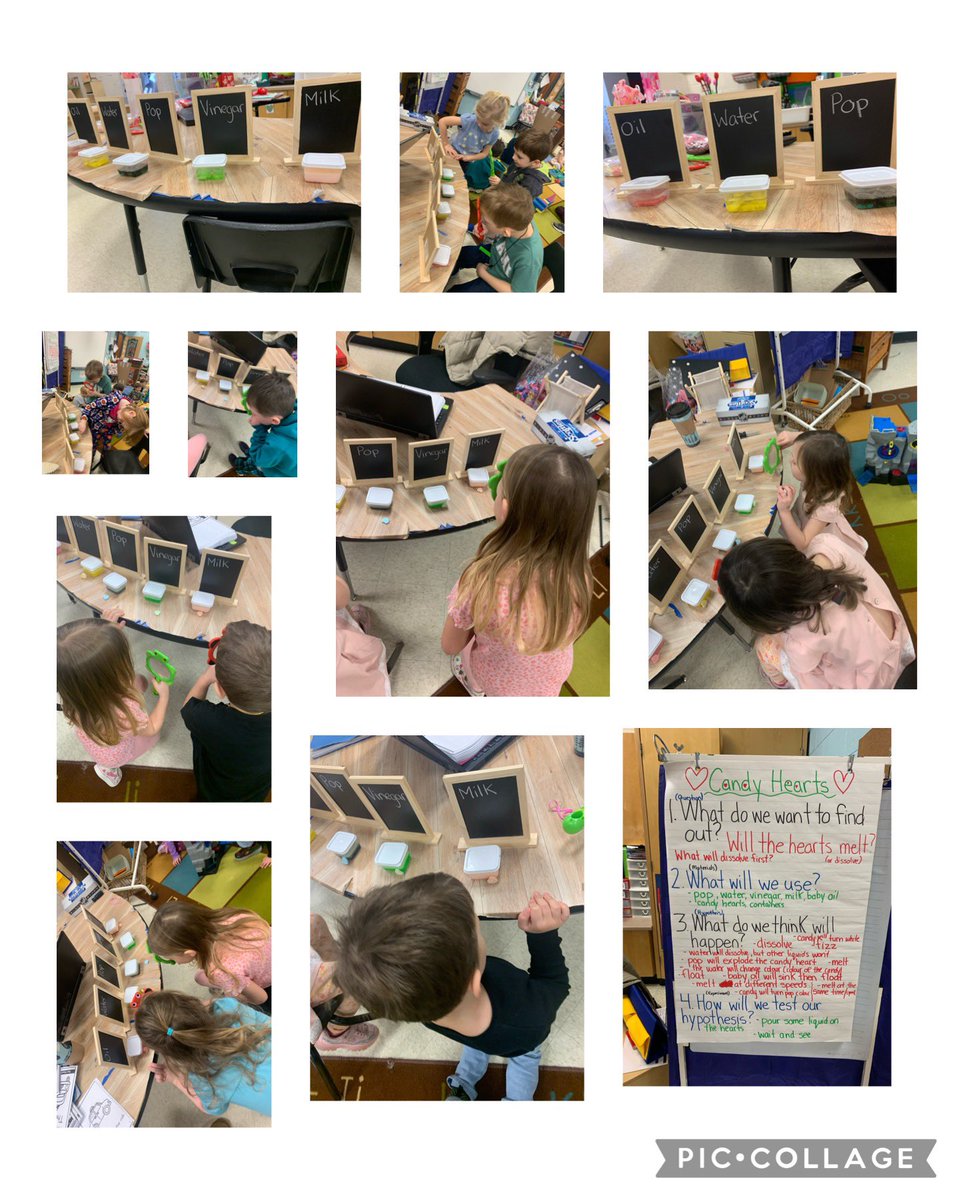 Our Kindergarten Scientists <a href="/BracebridgePS/">Bracebridge PS</a> had so much fun with their newest experiment. Great discussions about the “why,” the importance of asking questions, exploring and discovering!#bpsproud
