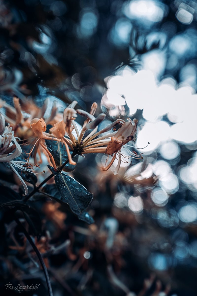 Be true to yourself.