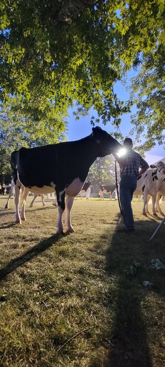 GigerBrianna's tweet photo. Happy #CdnAgDay! I’m beyond thankful to be a part of the agricultural industry, and I am grateful for all of the amazing people I've met along the way and get to work with everyday doing what I love! #RBCAg https://t.co/B3xqhb8lBy
