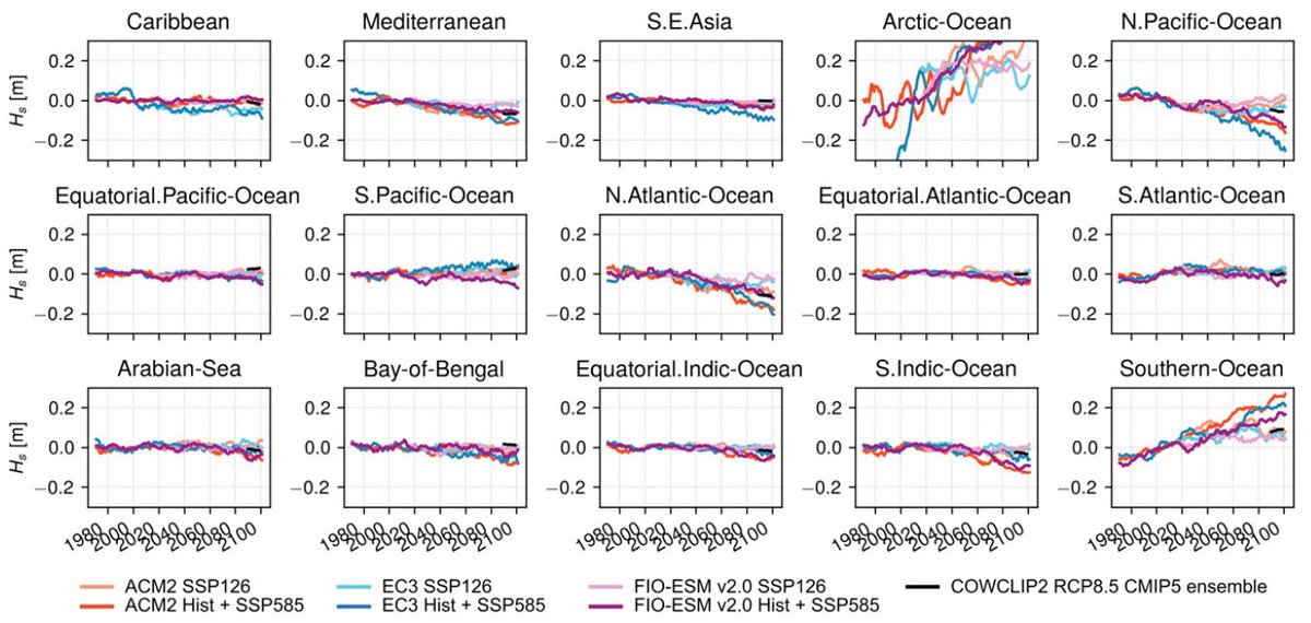 Alberto Meucci tweet media