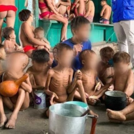 choquei's tweet photo. 🚨BRASIL: 19 crianças Yanomami que estavam com desnutrição grave apresentam melhora no estado de saúde após ação do governo Lula. https://t.co/cVKc24oew0