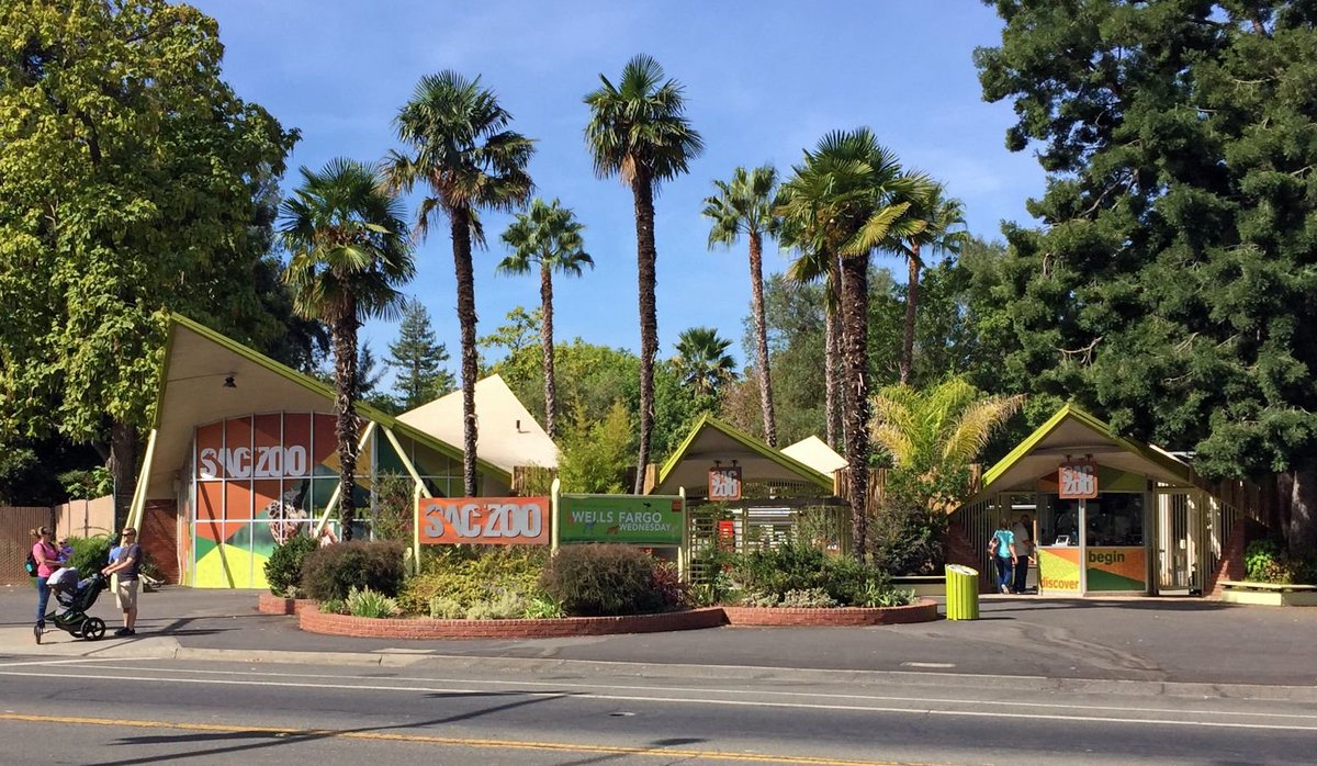 PreservationSac's tweet image. Help us list the Sacramento Zoo Entrance, a local Googie style architectural icon designed by Rickey &amp;amp; Brooks, in the Sacramento Register! Send an  email to @RickJenningsD7 &amp;amp; City Council via the link below, asking them to vote YES. #historicpreservation
preservationsacramento.org/advocacy