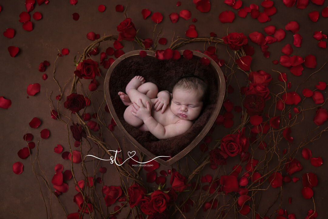 shoot_through's tweet photo. Love Love Love
Newborn Photography  ❤ ❤ ❤
Contact 8583440286 to Book |  📷 📷#newbornphotographysanmarcosca #sandiegonewbornphotographer #newbornphotography #newbornphotographer https://t.co/Cjlg2wTi3f