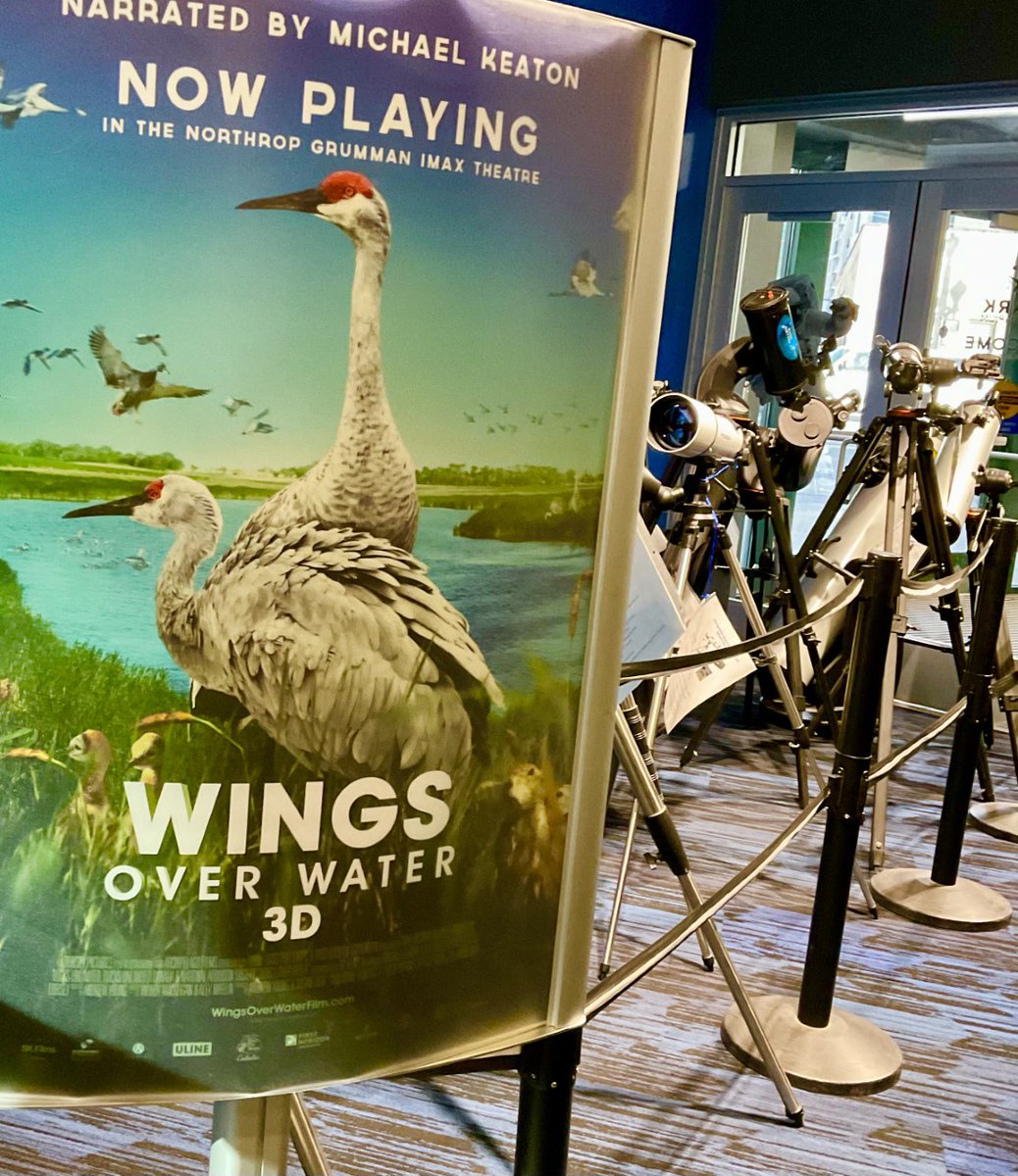 ClarkPlanet's tweet photo. Celebrate the opening of our newest #IMAX film: Wings Over Water 3D! 📽️Birds have specialized beaks that adapt to different foods. We're putting those tools to the test. Join us on 2/17 for #FunScienceFriday to try your hand--or bill--at adaptation to fill that birdy belly! https://t.co/zWuyJF2Ovx