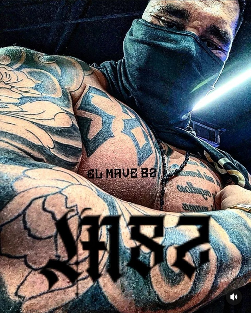 elmave82's tweet photo. en las noches bien ondeado 
en el día pura alegria 
#elmave82 @elmave82 @suplementosfit5 @_underside821_ #rap #hiphop https://t.co/0ofDFRJAph
