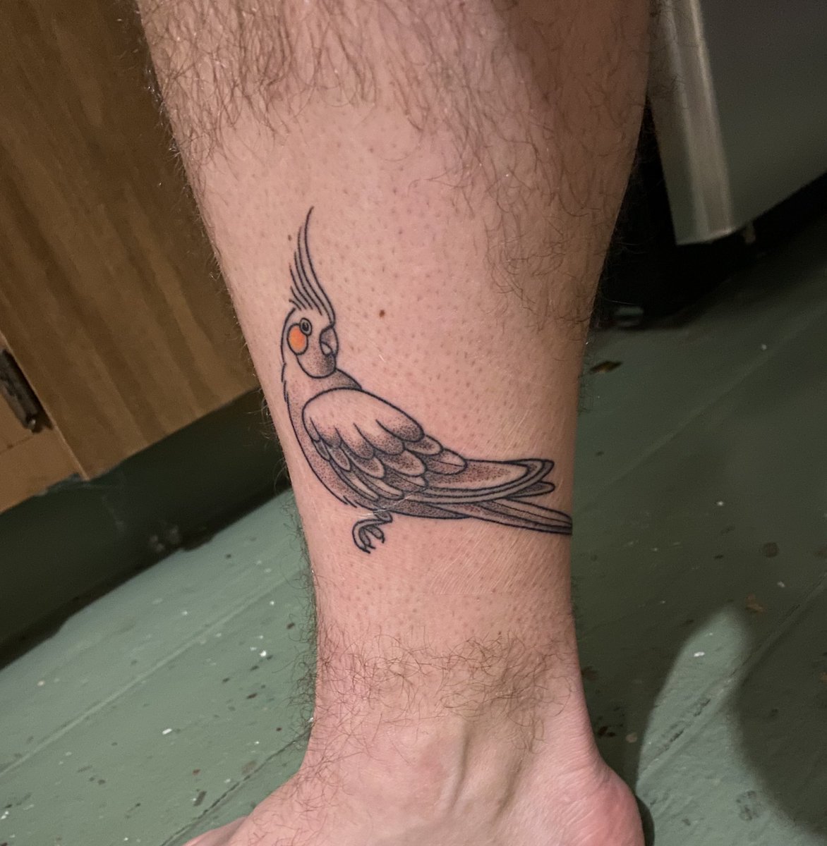 Tim_Hatch_'s tweet image. It’s done y’all