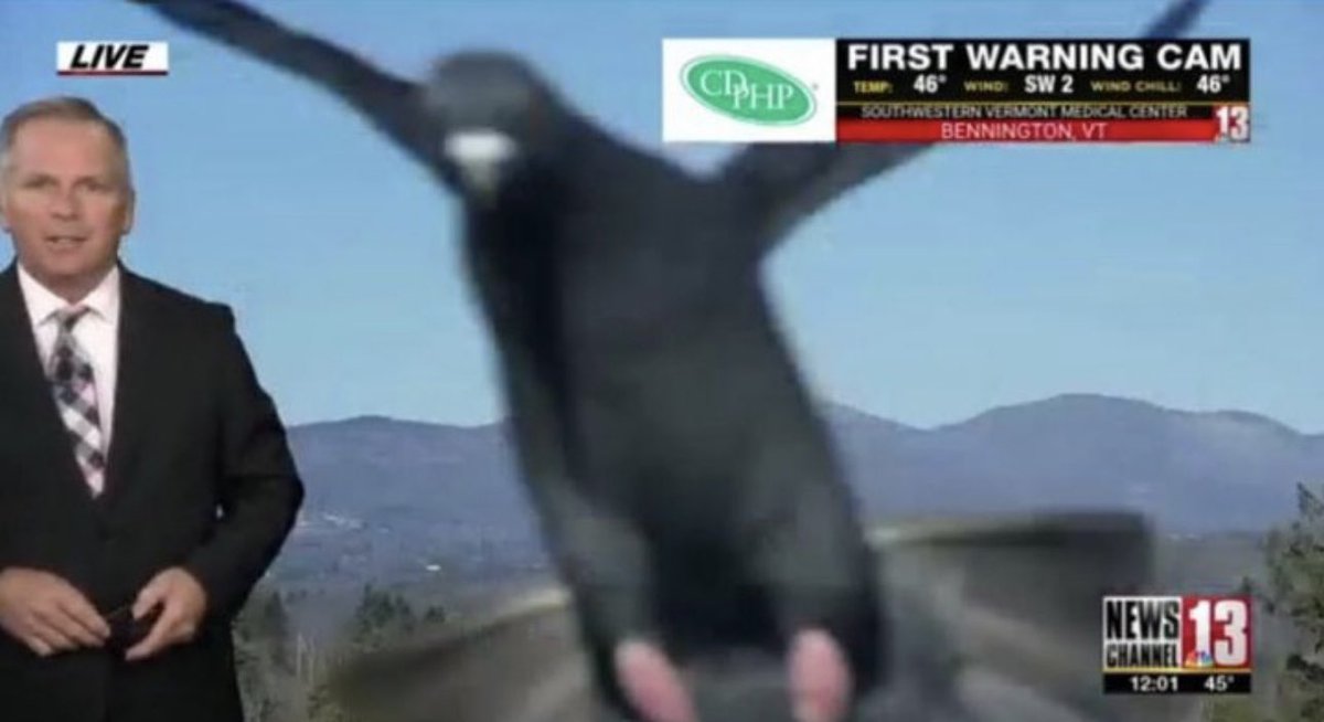 New Chinese balloon just dropped